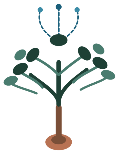 Tree and Seed Marketing